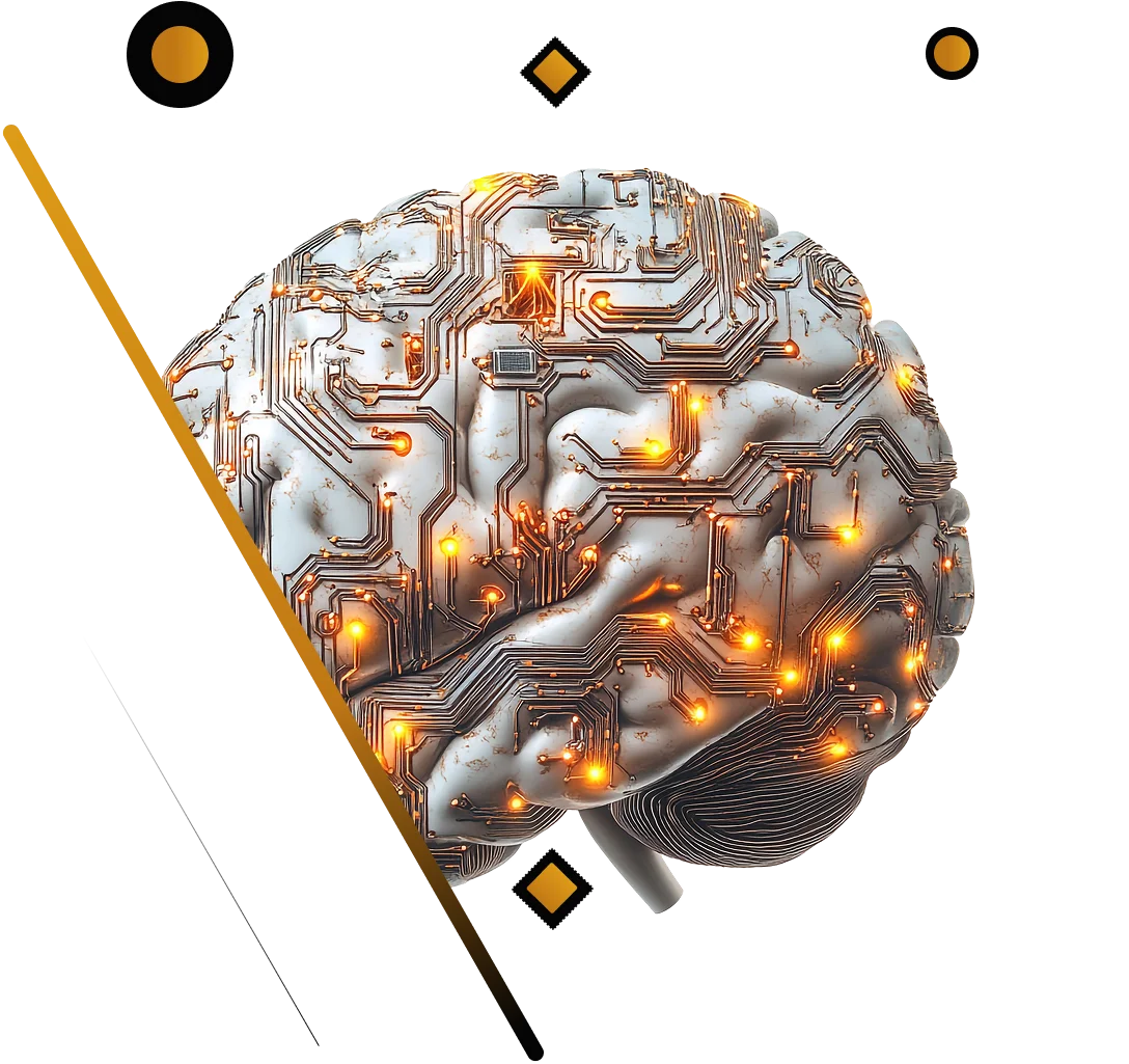 Brain Section Banner
